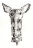 Sacrum