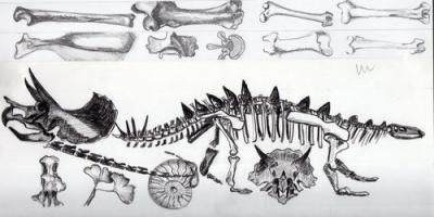Curiosites